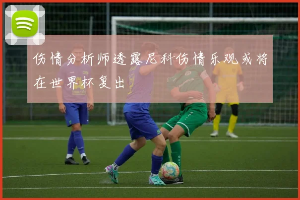伤情分析师透露尼科伤情乐观或将在世界杯复出